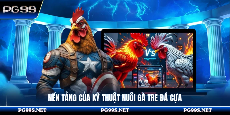 Nền tảng của kỹ thuật nuôi gà tre đá cựa