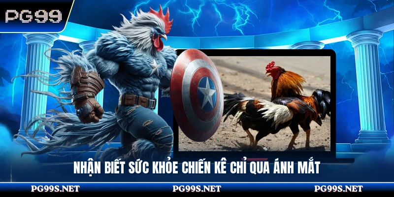 Nhận biết sức khỏe chiến kê chỉ qua ánh mắt